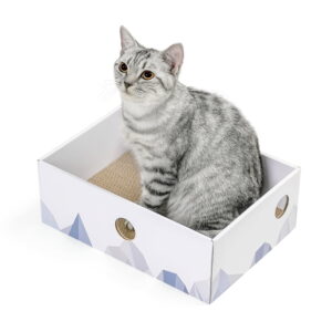 Conlun Cat Scratcher Box with Cat Scratching Pad,Double-Sided Cardboard Lounger,Cat Bed for Indoor Cats Interactive Hole Design,Medium