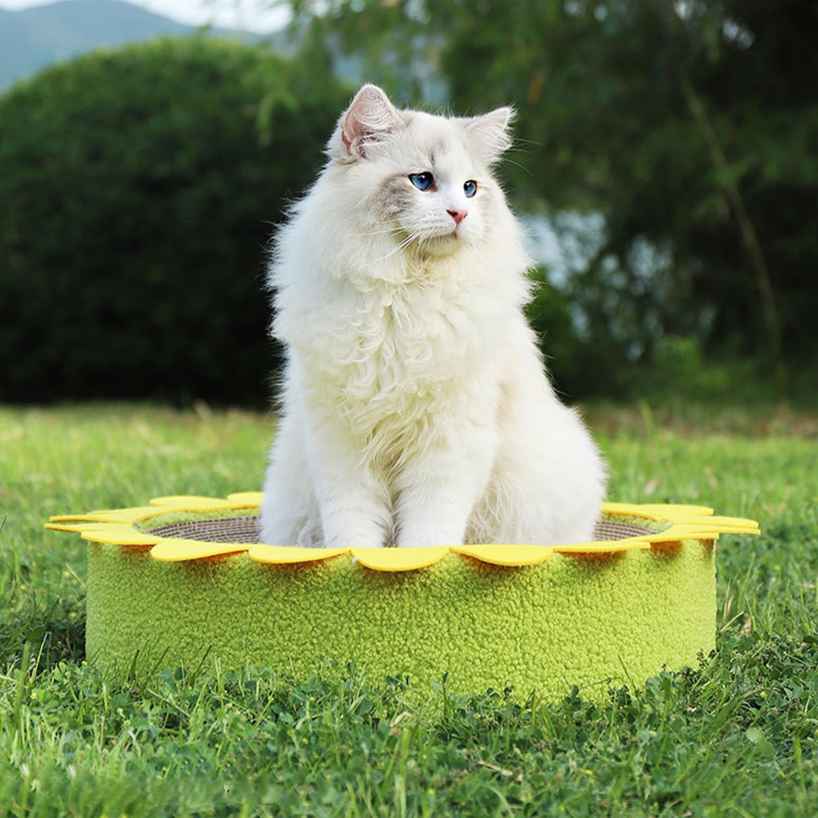 STPToys Large Cat Scratcher Bed Cardboard,Kitty Scratch Pad Corrugated Bowl Round Kittens Scratching Board Protector for Couch&Carpets&Sofas - Pink - Image 18