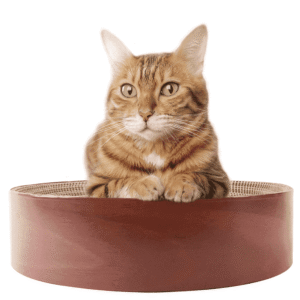 Selly's Den Round Bowl Shaped Cat Scratcher Cardboard Cat Bed , 16 inches