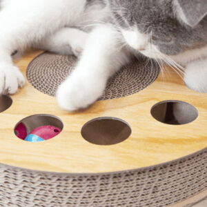 Cat Scratcher