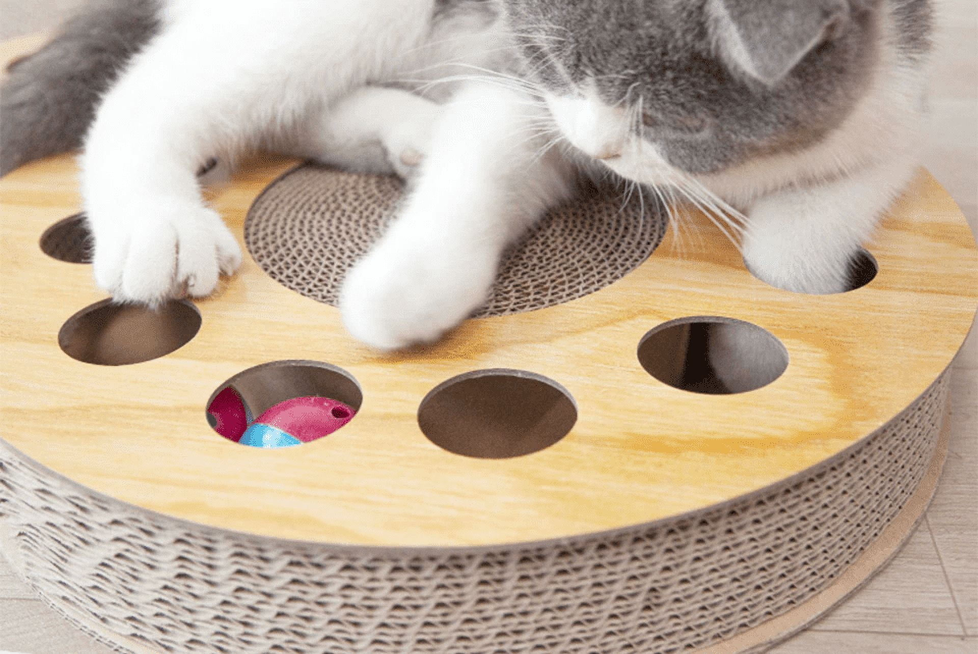 Cat Scratcher