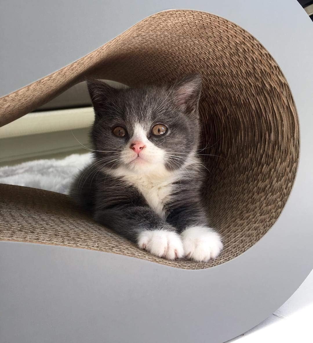 PetFusion Ultimate Cat Scratcher Pad Lounge & Bed For Cats, Reversible Infinity, Durable & Long Lasting, Gray - Image 3