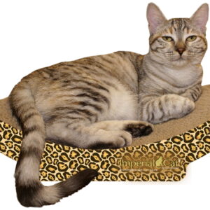 Imperial Cat Scratch 'n Shapes Cozy Curl