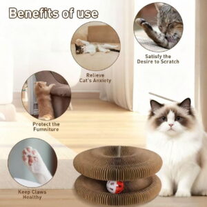 Kitty Kurl Magic Organ Cat Toy, Foldable & Reversible Infinity Style Cat Scratching Board Toy by Recycled Cardboard, Durable Interactive Cat Toys for Indoor Cats, 1PCS