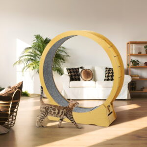 55.5" Large Cat Treadmill Wheel Cat Exercise Wheel with Detachable Carpet & Scratcher Surface for Running/Walking/Training