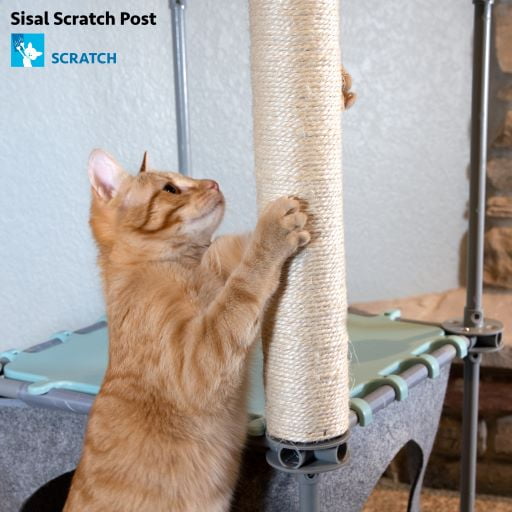 Kitty City Steel Claw Cube & Platforms Replacement - Image 9